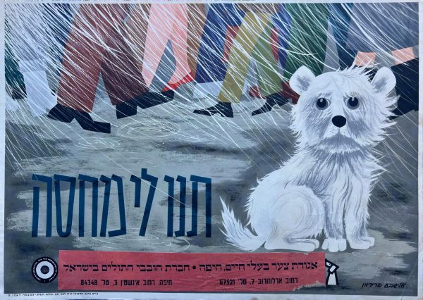 Vintage Israeli Poster "Give me shelter", Advertisement for the Animal Grief Association. Cat lovers company in Israel