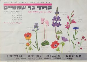 Vintage ISRAELI Poster – "Protected Wildflowers" (1960s)